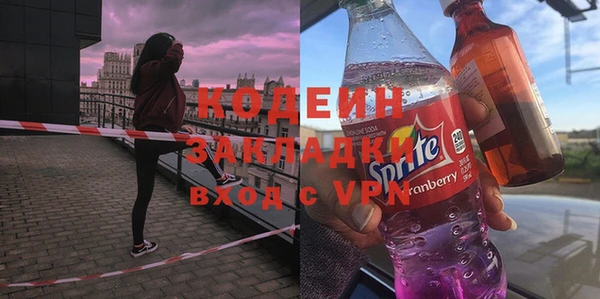 шишки Бородино